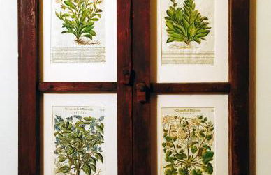 Borgo San Gusmè - Foto 30