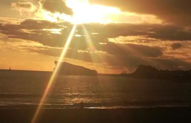 Pineapple Studio - Photo 54