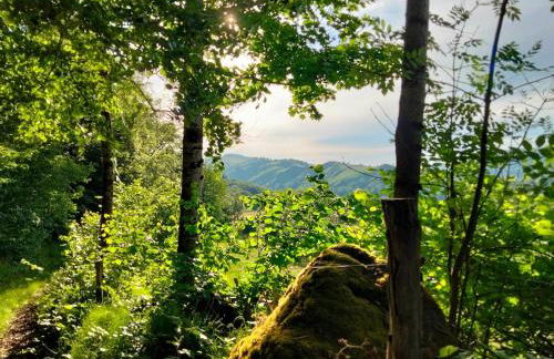 Le Zen Altitude - Foto 11