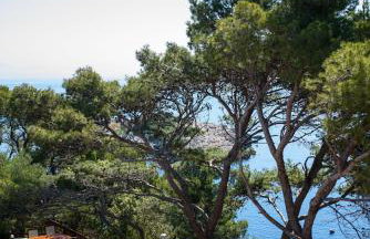 Apartments Stermasi - Photo 8