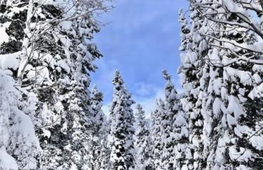 Cozy Cabin Retreat in Midway - Foto 18