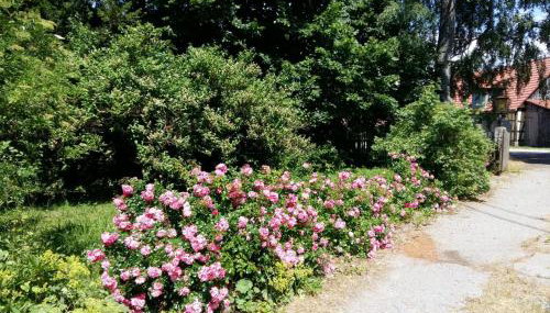 Feriendomizil Nordschwarzwald - Foto 4