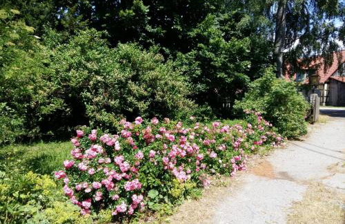 Feriendomizil Nordschwarzwald - Foto 4