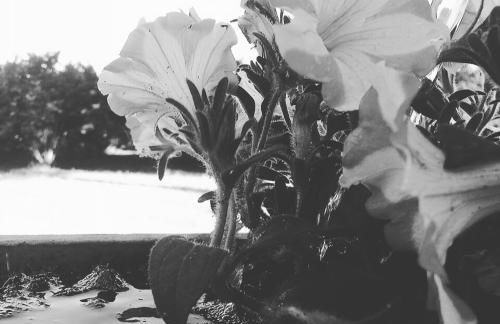 Agriturismo Casale Zuccari - Foto 24