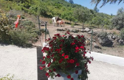 Casinha da Lareira - Quintinha dos Cavalos- Arruda dos Vinhos - Foto 16