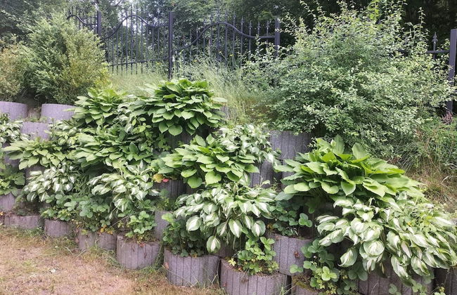 Holiday Home in Kretowiny Near Lake - Foto 30