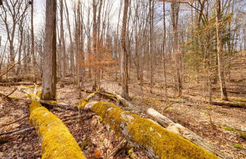 4 Mi to Gauley River Rapids! Outdoor Adventure Hub - Foto 25