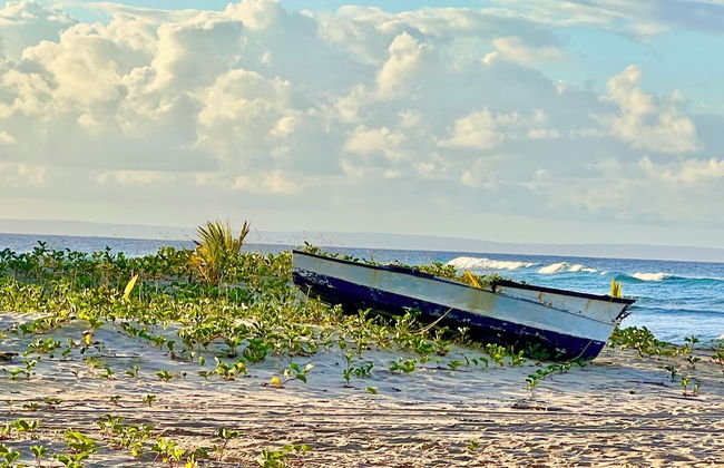 Villa Palmeira - Foto 69