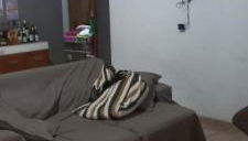 Porto do descanso - Foto 1