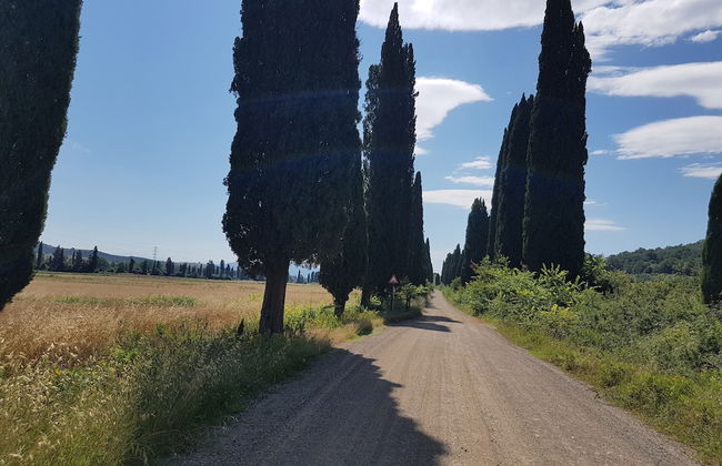 Agriturismo Bio Fattoria di Pietra - Foto 62