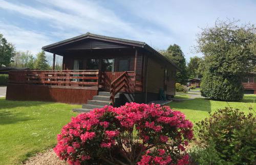 Bluebell Lodge 5 with Hot Tub - Foto 34