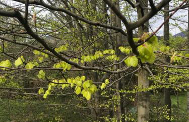 Chata filozofa pod Policą - Foto 50