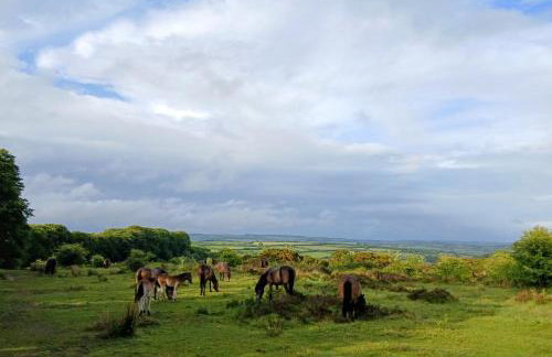 Sheepfold Cottage Dulverton - Foto 8