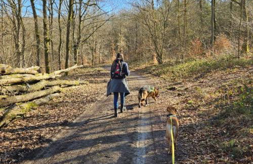 Apartment Sander by Interhome - Foto 14