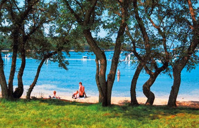 Apartments Cerin - Foto 28