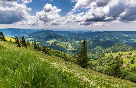 Ferienwohnung Bergzauber Schwarzwald - Foto 19