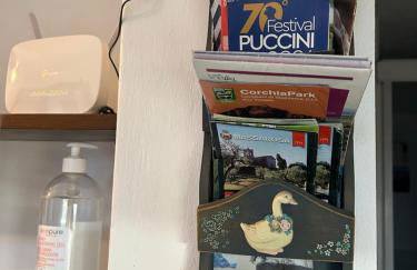 Massaciuccoli Romana - Foto 47