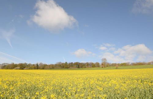 Apartment An der Dorfkirche by Interhome - Foto 74