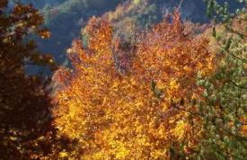 Casetta Angie - Foto 64