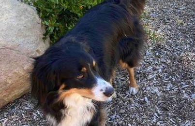 Pacific Coast Highway Milkhouse - Foto 18