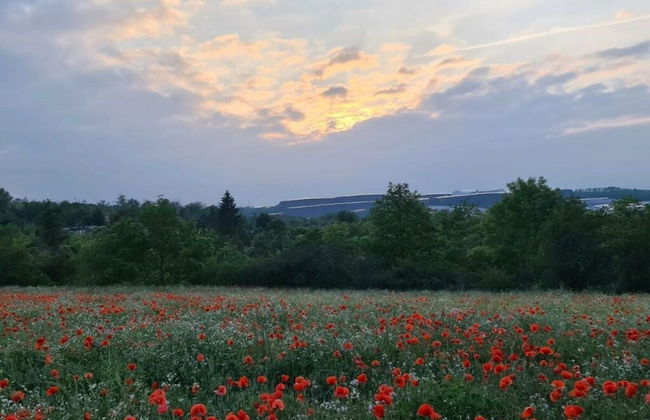 Haus Elfi Modern Retreat - Foto 12