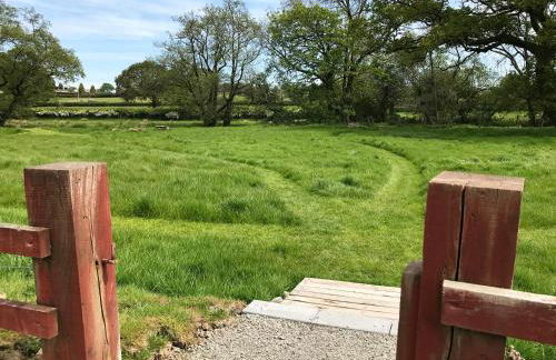 Maesyfelin Isaf Apartment - Foto 22