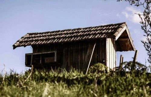 Regouro - an Hidden Gem in Douro Valley - Foto 46