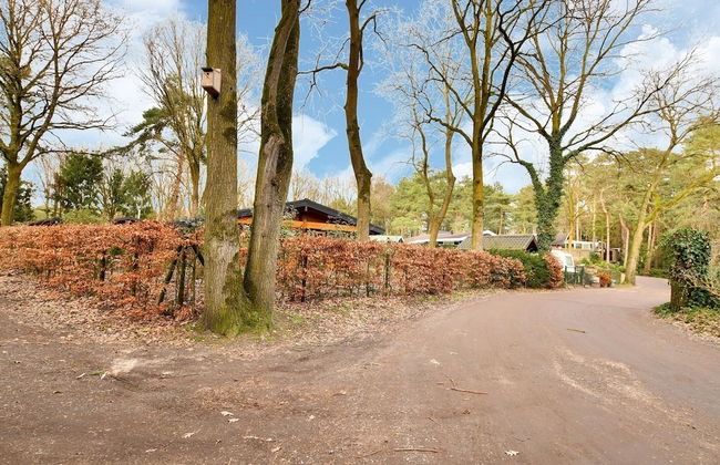 Wooden Holiday Home in Meijel With Private Garden - Photo 34