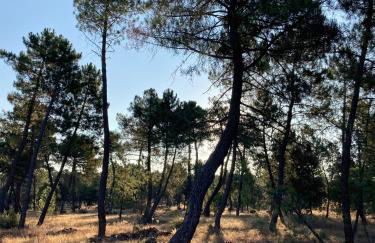 La Ren Lecrés Apartamento piscina jardin - Photo 24