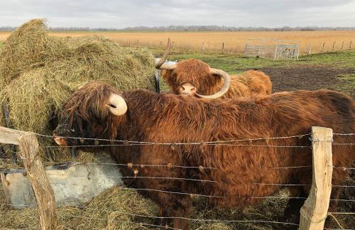 Villa Rosengarten - Foto 39