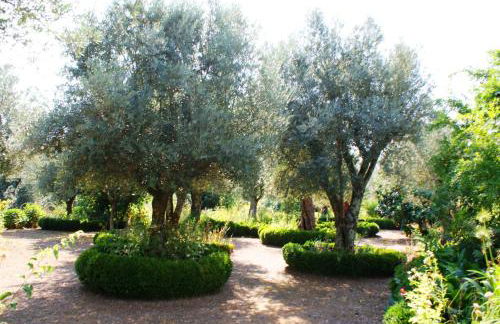 Quinta Da Agra - Foto 58