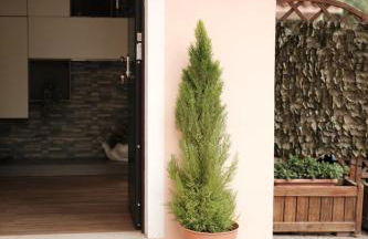 Casa Carlo - Foto 42