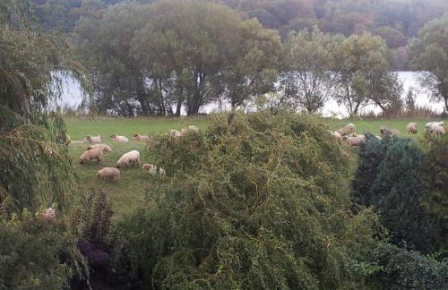 Holiday Home Elbufer 4B by Interhome - Foto 12