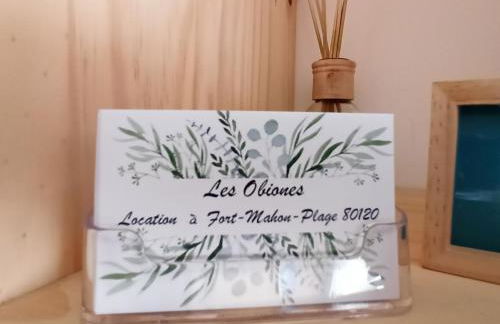 Les Obiones, vue latérale mer, Fort Mahon Plage, magnifique studio cabine 4p, avec balcon , parking privé gratuit, wifi, classé 2 étoiles, exposition plein sud en Baie de Somme - Foto 17