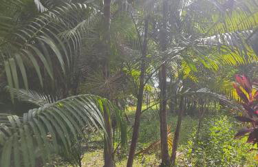 Chalé Maison Blanche - Foto 46