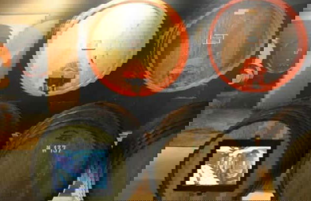 Maison Brotte Wine Museum Tickets - Foto 8