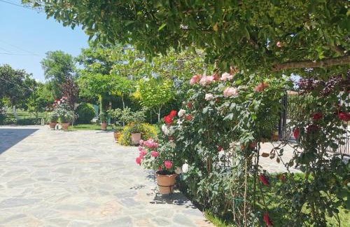 Kardiakafti Village - Foto 38