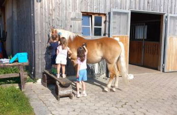 Fuchsbauernhof - Foto 24