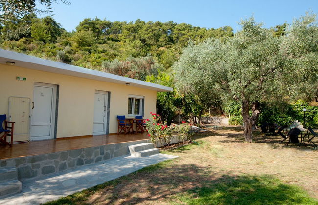 Garden Studios - Foto 10