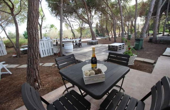 Two-room Apartment Conchetta In Relax - Air-conditioned - Wi-fi in Full Relaxati - Foto 16