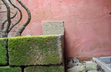 Agriturismo Settepassi Tuscany - Photo 27