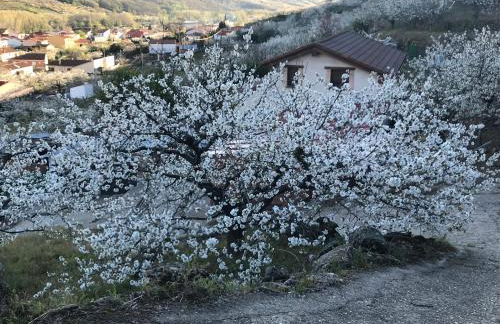 LA GARGANTILLA - Foto 22