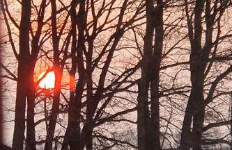 Am Wäldchen - Foto 25