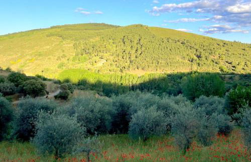 Sweet Quintanilha - Foto 42