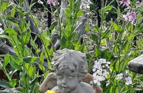 Bayview #1 - Foto 37