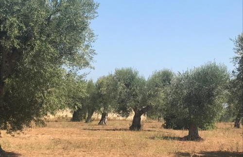 Casette nel Borgo - Foto 15