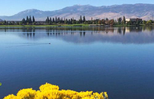 Marina Escape-Lake-Family-Fishing-Casino - Photo 50