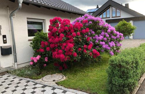 Ferienwohnung Schwarzwaldhirsch - Foto 22