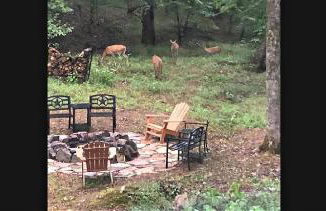 Secluded Home with Mini Waterfall and a Creek in Hot Springs - Foto 10