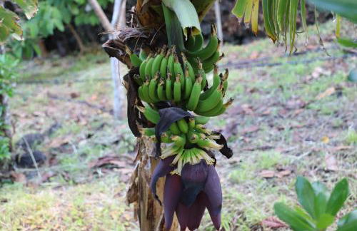 Mar D'Abstração - Photo 49